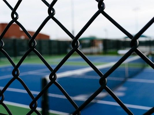 6 メートルビニールコーティングチェーンリンクフェンス 6 フィート高さ50 フィートロール