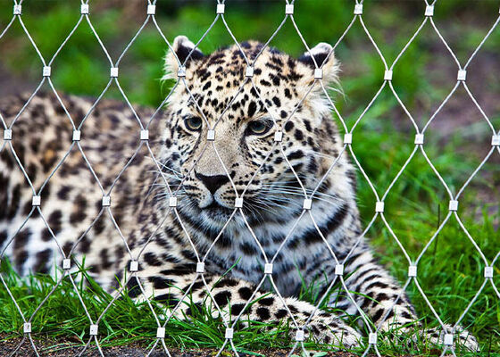 Stainless Steel Rope Mesh Zoo Fencing – High Safety and Aesthetically Pleasing