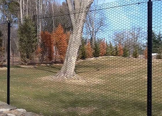 Metal Hexagrid Fencing, Hexagonal Mesh , 6 X 150 Feet