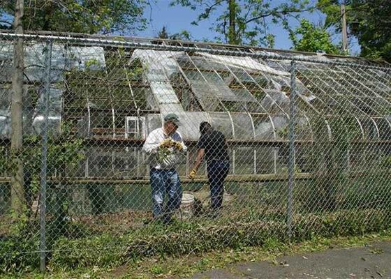 チェーンリンクフェンスで温室への害虫や鳥の侵入を防ぐ