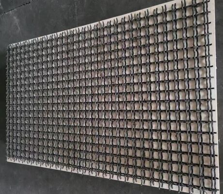 反目くらまし編まれた振動スクリーンの網870x1500mm 40mmの開口のぬれた粘着性のある鉱石パネル