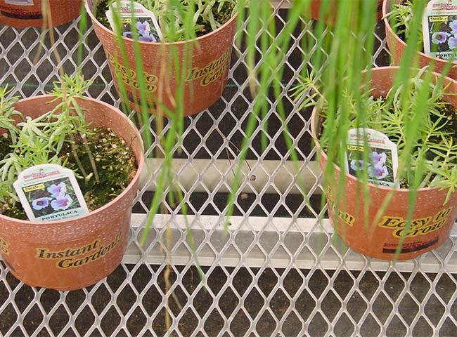 ベンチのSeedbedの網のための拡大された金属